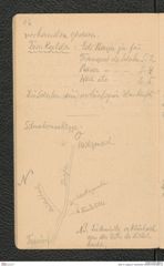 Seite 18, Tagebuch "Hankenfeld" (NHMW-PRAE-BBB-33)